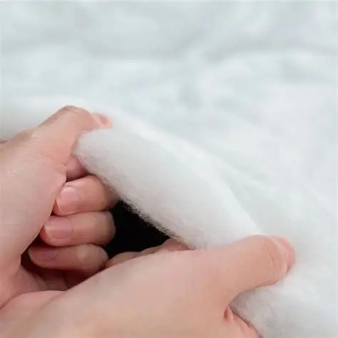 Additional Image 2