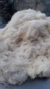 Additional Image 3