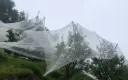 Anti-Hail Nets