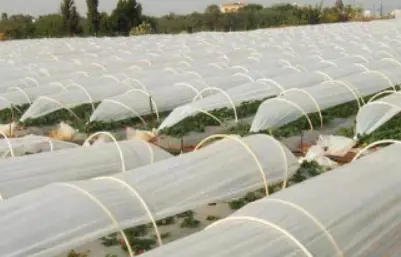 Crop Covers