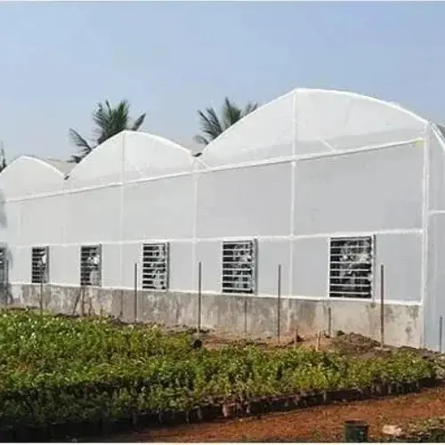 Greenhouse Covers / Polyhouse
